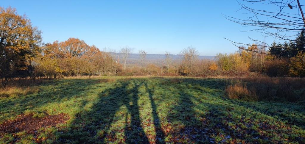 Lot: 44477 - LAND WITH STABLES AND DERELICT BARN - Field